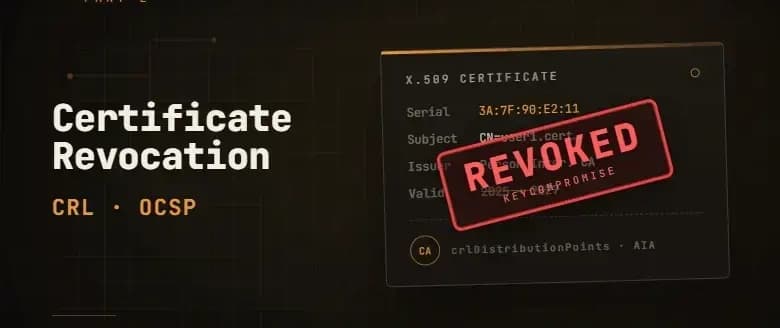 From Root CA to User Authorization in nginx+apache. Part 2: Certificate Revocation, CRL and OCSP