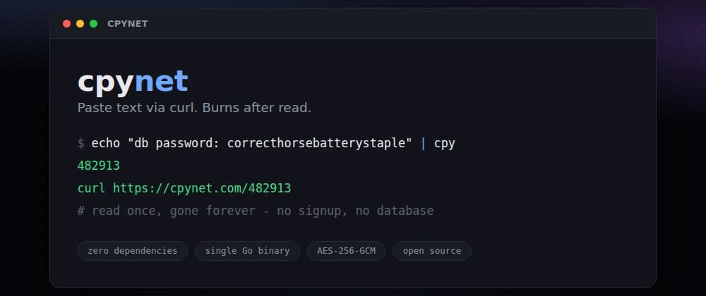 Cpynet a pastebin you talk to with curl, that forgets everything you send it